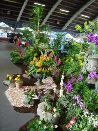 Hilo Orchid show display